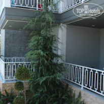 фото из отзыва ID 1398457