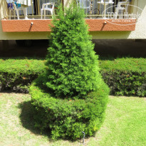 фото из отзыва ID 1398463