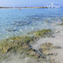 фото из отзыва ID 1398463