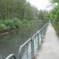 фото из отзыва ID 1398474