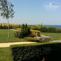 фото из отзыва ID 1398475