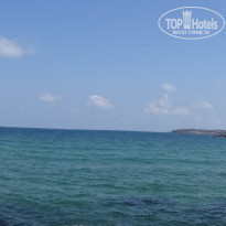 фото из отзыва ID 1398477