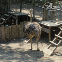 фото из отзыва ID 1398477