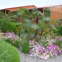 фото из отзыва ID 1398583