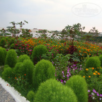 фото из отзыва ID 1398583