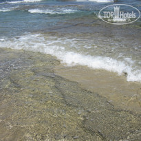 фото из отзыва ID 1398728