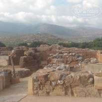 фото из отзыва ID 1398733