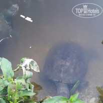 фото из отзыва ID 1398732