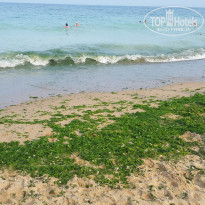 фото из отзыва ID 1398830