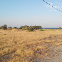 фото из отзыва ID 1399069