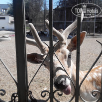 фото из отзыва ID 1399069