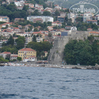 фото из отзыва ID 1399093