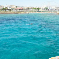 фото из отзыва ID 1399165