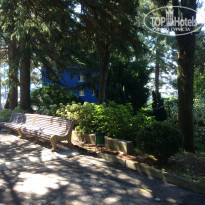 фото из отзыва ID 1399202