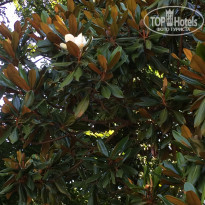 фото из отзыва ID 1399202