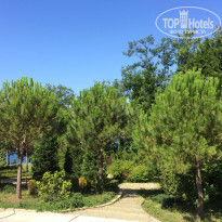 фото из отзыва ID 1399202