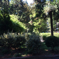 фото из отзыва ID 1399202