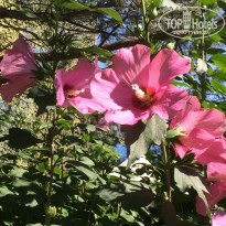 фото из отзыва ID 1399202