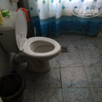 фото из отзыва ID 1399202