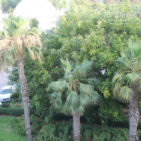 фото из отзыва ID 1397975