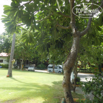 фото из отзыва ID 1399352