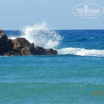 фото из отзыва ID 1399375