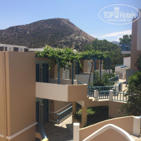 фото из отзыва ID 1399375