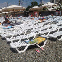 фото из отзыва ID 1399615