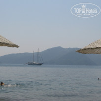 фото из отзыва ID 1399658