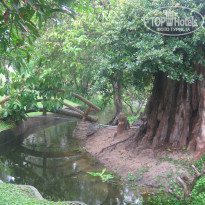 фото из отзыва ID 1399681