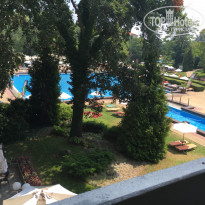 фото из отзыва ID 1399776