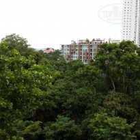 фото из отзыва ID 1399869