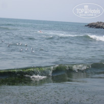 фото из отзыва ID 1399897