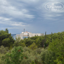 фото из отзыва ID 1393574