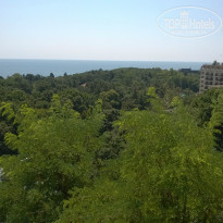 фото из отзыва ID 1397087