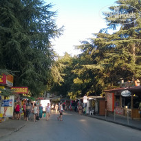 фото из отзыва ID 1397087