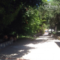 фото из отзыва ID 1399382