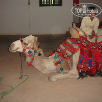 фото из отзыва ID 1391865