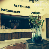 фото из отзыва ID 1393109