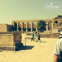 фото из отзыва ID 1393109