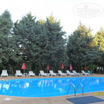 фото из отзыва ID 1393645