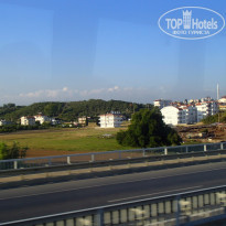 фото из отзыва ID 1396891