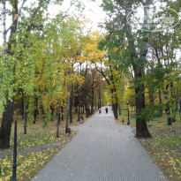 фото из отзыва ID 1392420