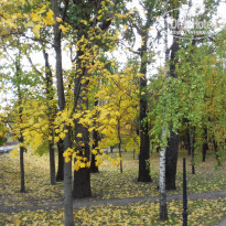 фото из отзыва ID 1392420