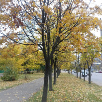 фото из отзыва ID 1392420