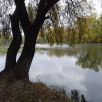 фото из отзыва ID 1392420