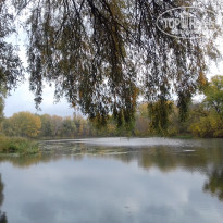 фото из отзыва ID 1392420