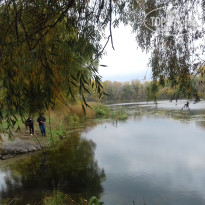 фото из отзыва ID 1392420