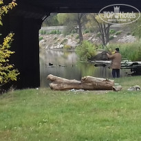 фото из отзыва ID 1392420