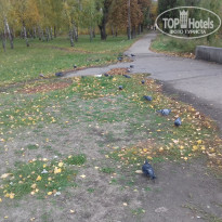 фото из отзыва ID 1392420